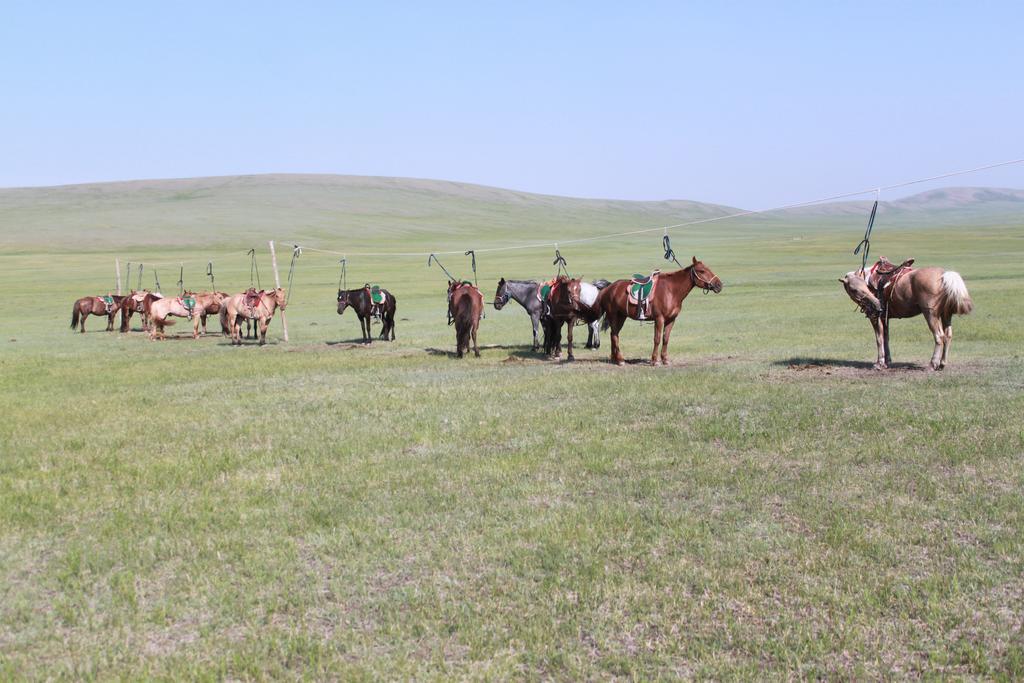 Nomad Horse Camp Pension Nalayh Buitenkant foto