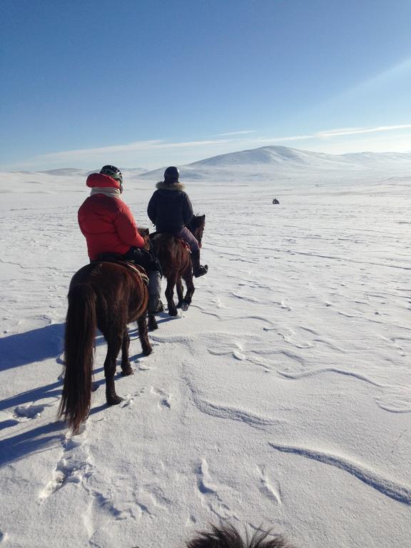 Nomad Horse Camp Pension Nalayh Buitenkant foto
